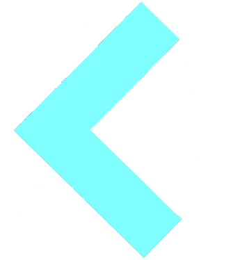 Previous